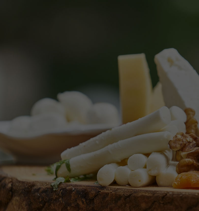 Shavuot Mobi